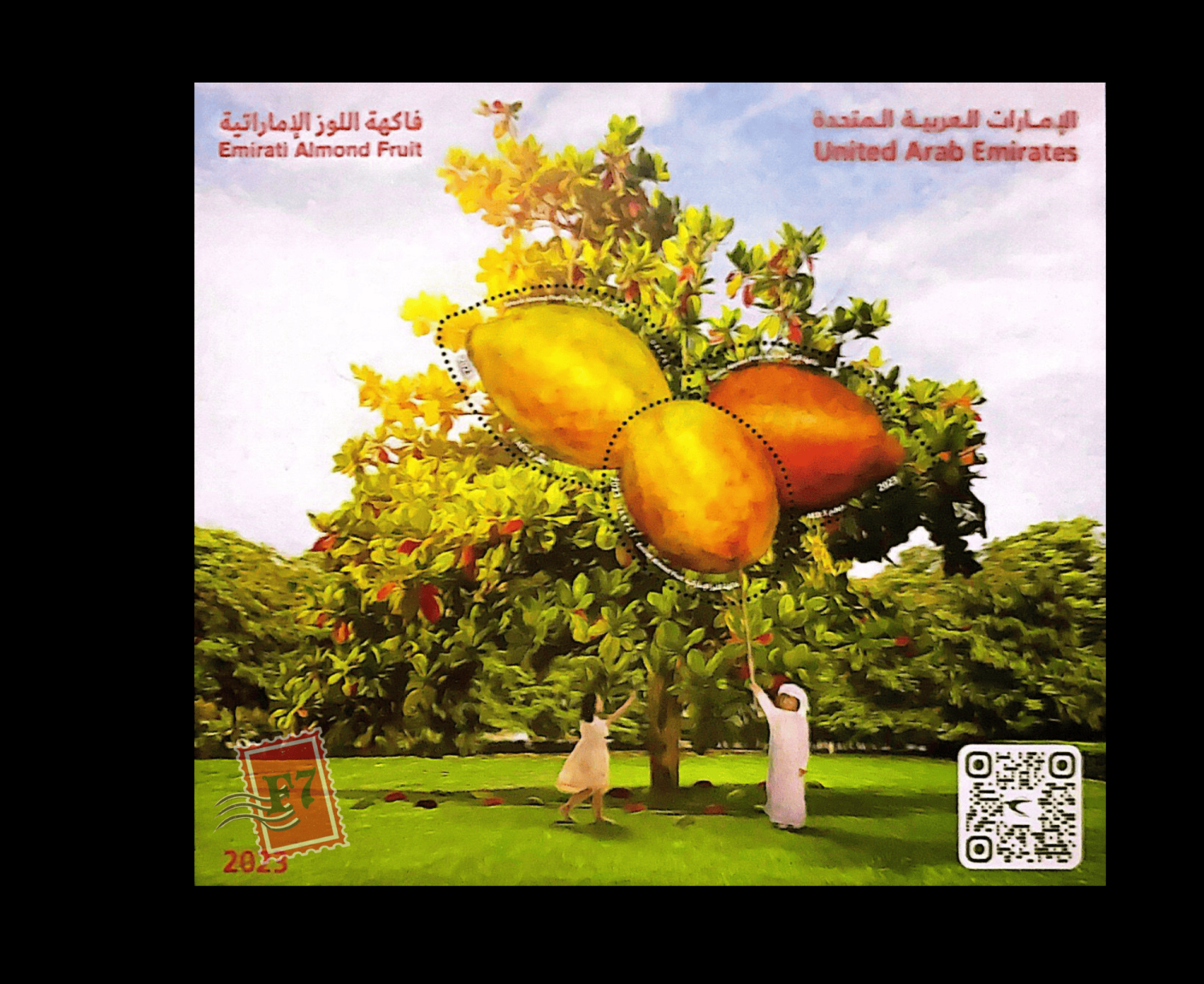 THE EMIRATI ALMOND FRUIT MINI SHEET
